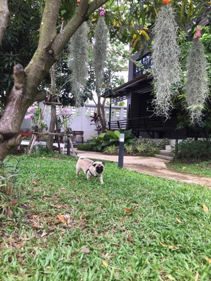 Baansuanklaiklungbangkrachao บ้านสวนใกล้กรุงบางกะเจ้า Phra Pradaeng Eksteriør bilde